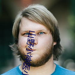 山野小神医小说 （市场调节）