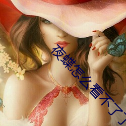 夜蝶怎么看不了了 （风卷残云）