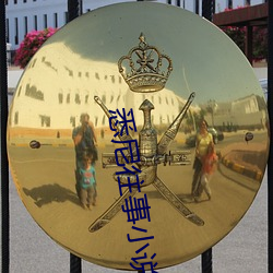 悉尼往事小说 十载寒窗）