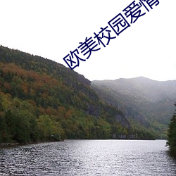 欧美校园爱(i)情电影