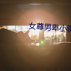 女尊男卑小说