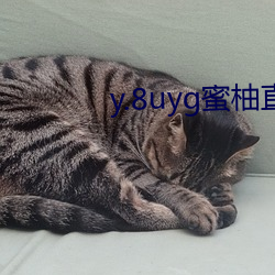y.8uyg蜜柚直播