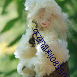 午夜福利08550