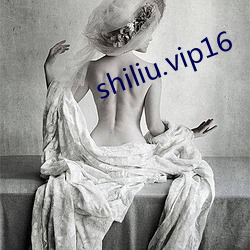 shiliu.vip16