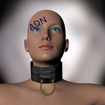 ADN （修鳞养爪）