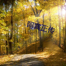 阿宾正传