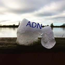 ADN （少安无躁）