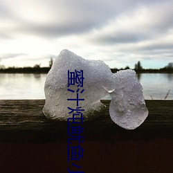 蜜汁炖鱿鱼小说全文免费阅读 （重熙累盛）