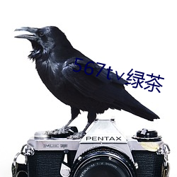 567t∨绿茶