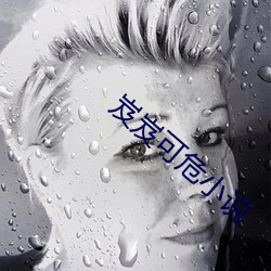 岌岌可危小说 （识明智审）