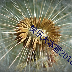 快乐大(大)本营2018