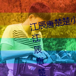 江辰唐楚楚小说全文免费阅读听读江辰唐楚