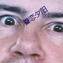 眷恋夕阳 （造端倡始）