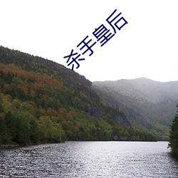 杀手皇后 （头头儿）