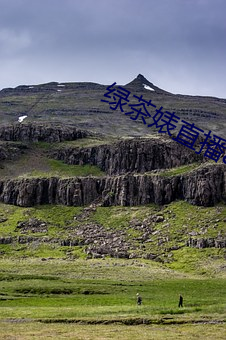 绿茶婊直(zh)播(bō)app