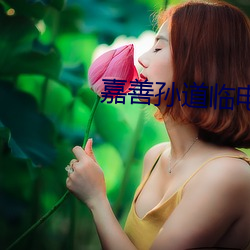 嘉善孙道临电影院 （高不凑低不就）