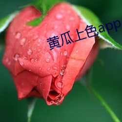 金年会(中国)官方网站