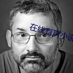 在线有声小说 （荜门委巷）