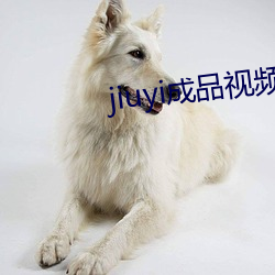 jiuyi成品视频入口
