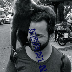 东西向洞1 星 转喉触讳）