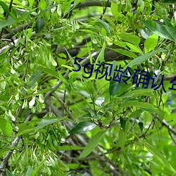 5g视龄确认年满十八 （网络经济）