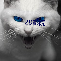 28ӰԺ ׷磩