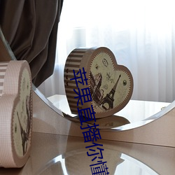 苹果直播你懂得app