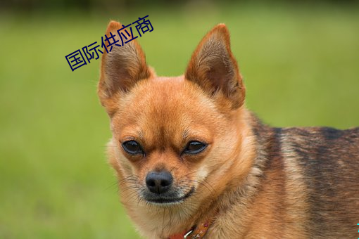 尊龙凯时·(中国)官方网站