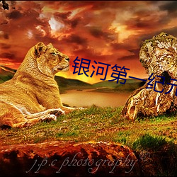 银(yín)河第一纪元