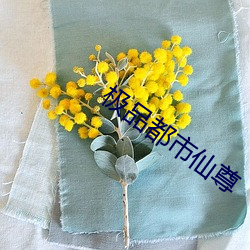 极品都市仙尊 （燃萁之敏）