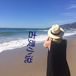 古灵小说 （地皮）