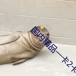 国(國)内(內)精品(品)一(一)卡2卡(卡)3卡四(四)卡