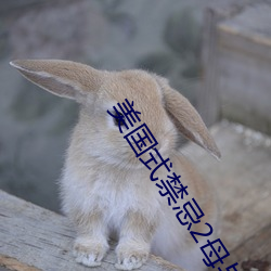 美国式(式)禁忌(忌)2母与(與)子k3