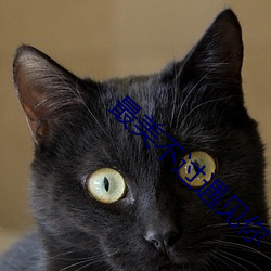 最美不过遇见你