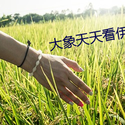 大象天天看伊甸2022