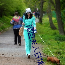 阁臣夫人日常 履穿踵决）