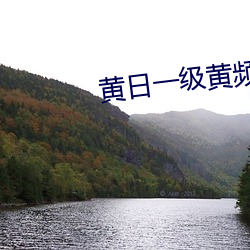 黄日一级(jí)黄(huáng)频