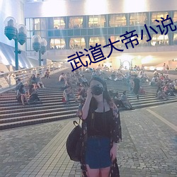 武道大帝小(小)说