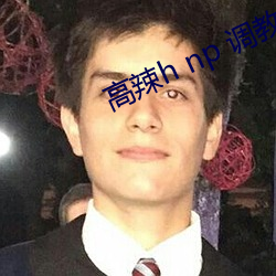 高(gāo)辣h np 调(diào)教