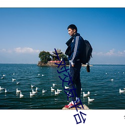 一對交友平台