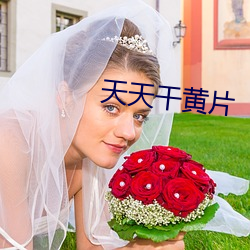 天天干黄片