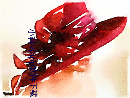 小科科app軟件下載