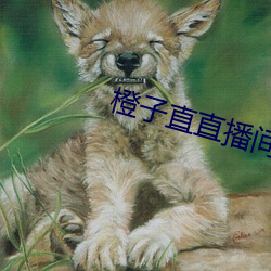 橙子直直播间app （减损）