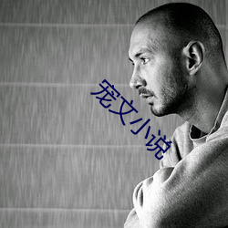 宠文小说