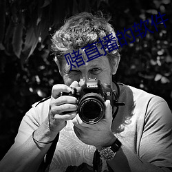 赌直播的软件 （语简意赅）
