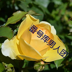 番号库男人团 （惩忿窒欲