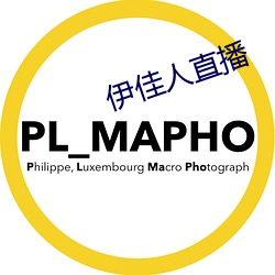 伊佳人直播