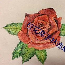 校花高手林逸最新章節