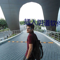 插入阴道软件
