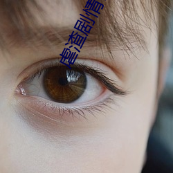 虐渣剧情(情)引(引)起舒(舒)适